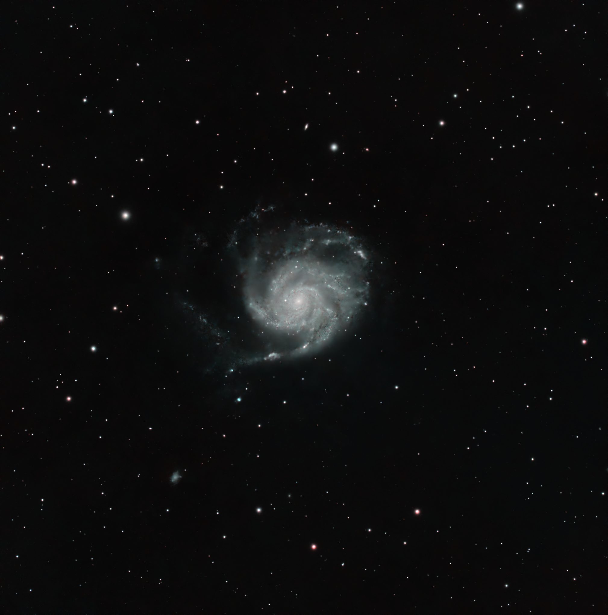 Pinwheel Galaxy, photographed by Hari Krishna Malladi.