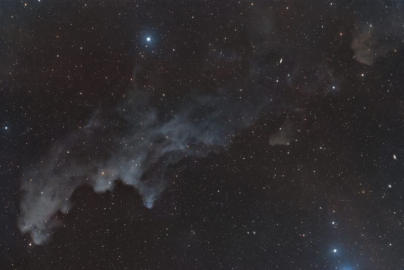 Witch Head Nebula, photographed by Hari Krishna Malladi.